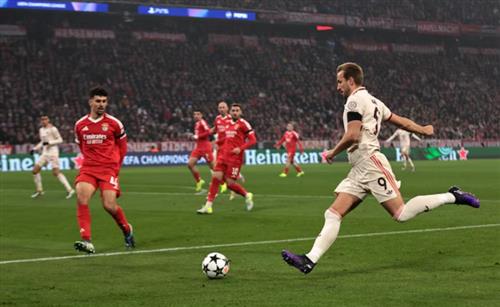 拜仁慕尼黑 vs 本菲卡