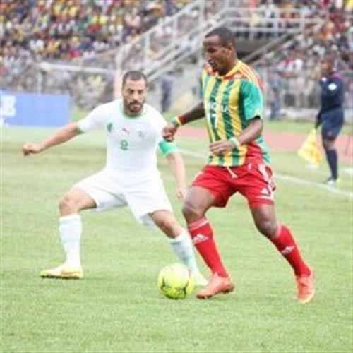 阿尔及利亚 vs 埃塞俄比亚
